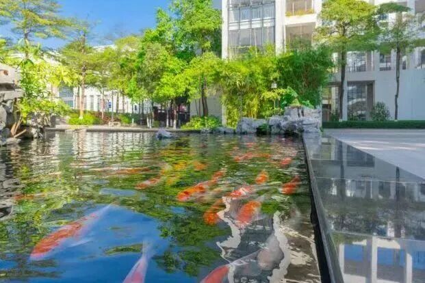 有学生被“噪音”吵到，学校的做法亮了！