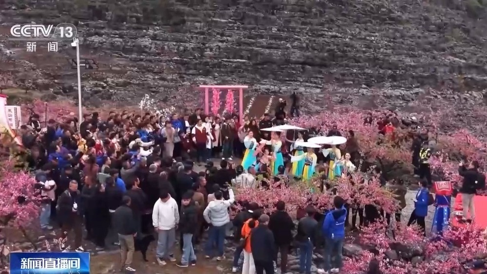 梯田美景、农家民宿……各地花海美景激活春日经济