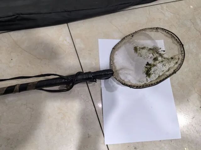 男子刚来杭州，深夜用自制网兜在钱塘江边非法捕捞鳗鱼苗43尾，刚上岸就被抓