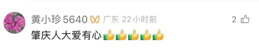 肇庆一老人坐轮椅落水，一群人出手了…