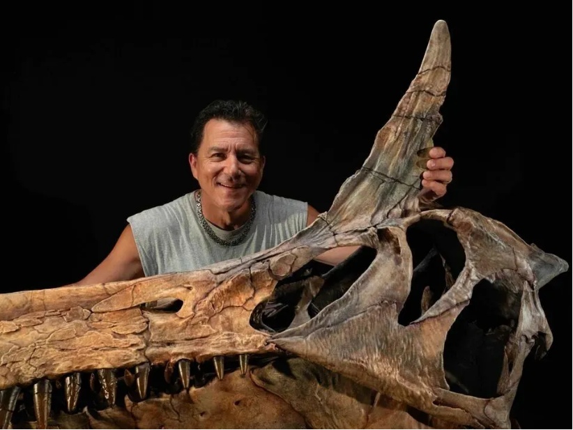 蝌学最前沿丨棘龙家族上新！新种头顶自带 “弯刀” 角冠