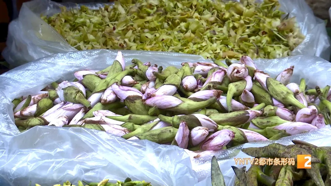 “春天就要吃云南的花”! 每天几十单,云南“春日限定”走向全国…… “春天就要吃云南的花”! 每天几十单,云南“春日限定”走向全国……