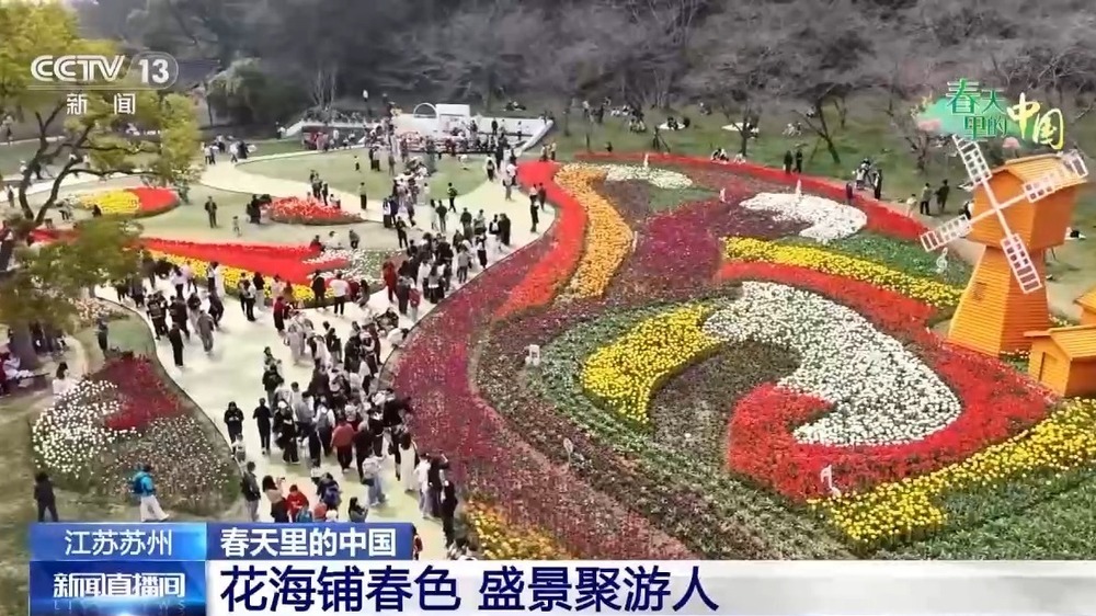 梯田美景、农家民宿……各地花海美景激活春日经济