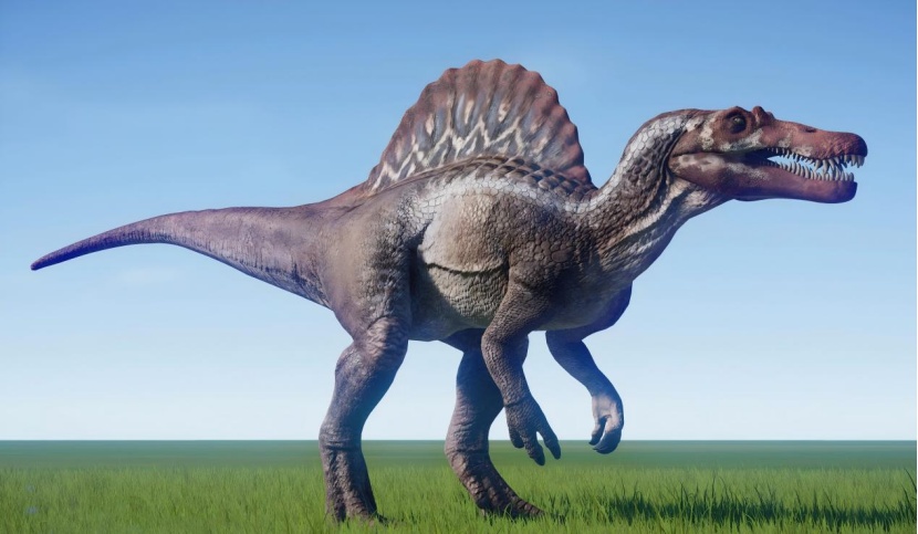 蝌学最前沿丨棘龙家族上新！新种头顶自带 “弯刀” 角冠