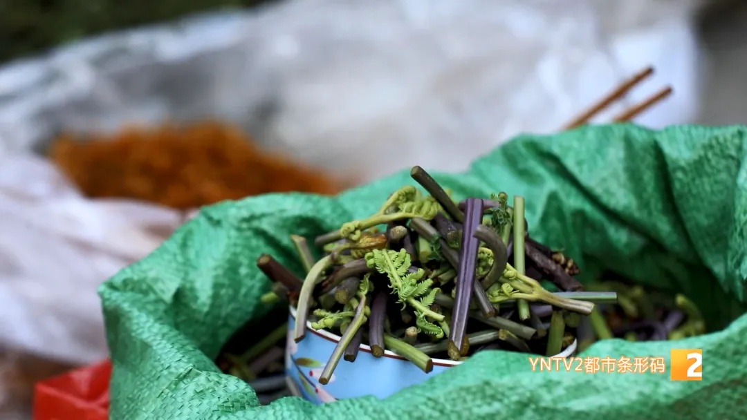 “春天就要吃云南的花”! 每天几十单,云南“春日限定”走向全国…… “春天就要吃云南的花”! 每天几十单,云南“春日限定”走向全国……