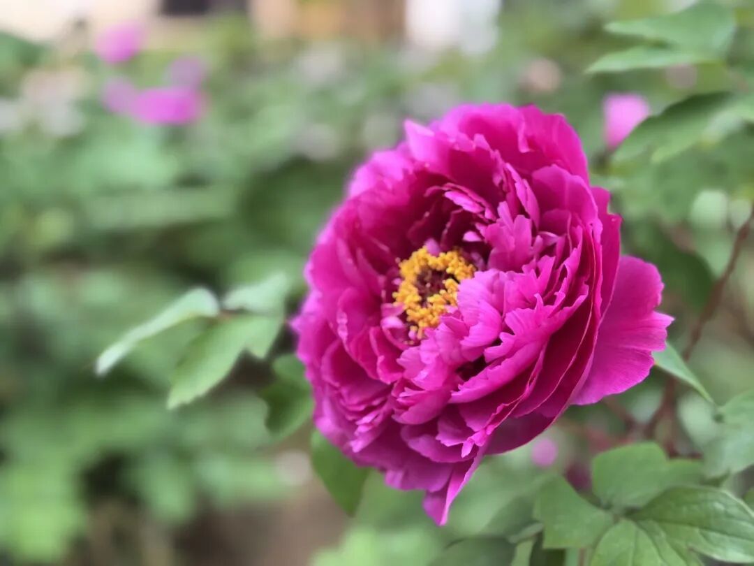 春雷为何迟迟不响？气象专家：大气环流太“佛系”