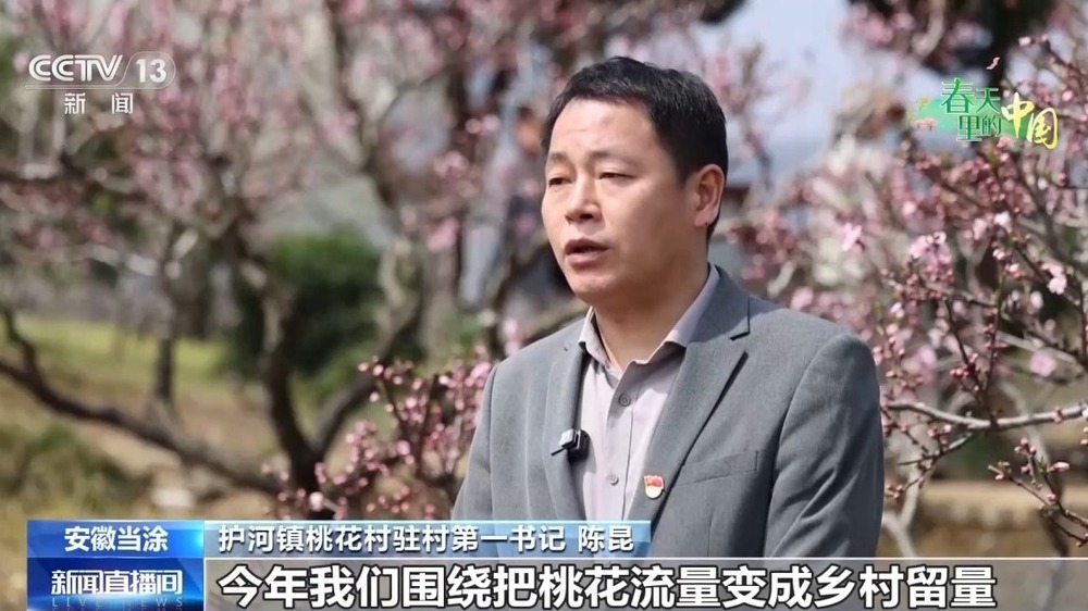 梯田美景、农家民宿……各地花海美景激活春日经济