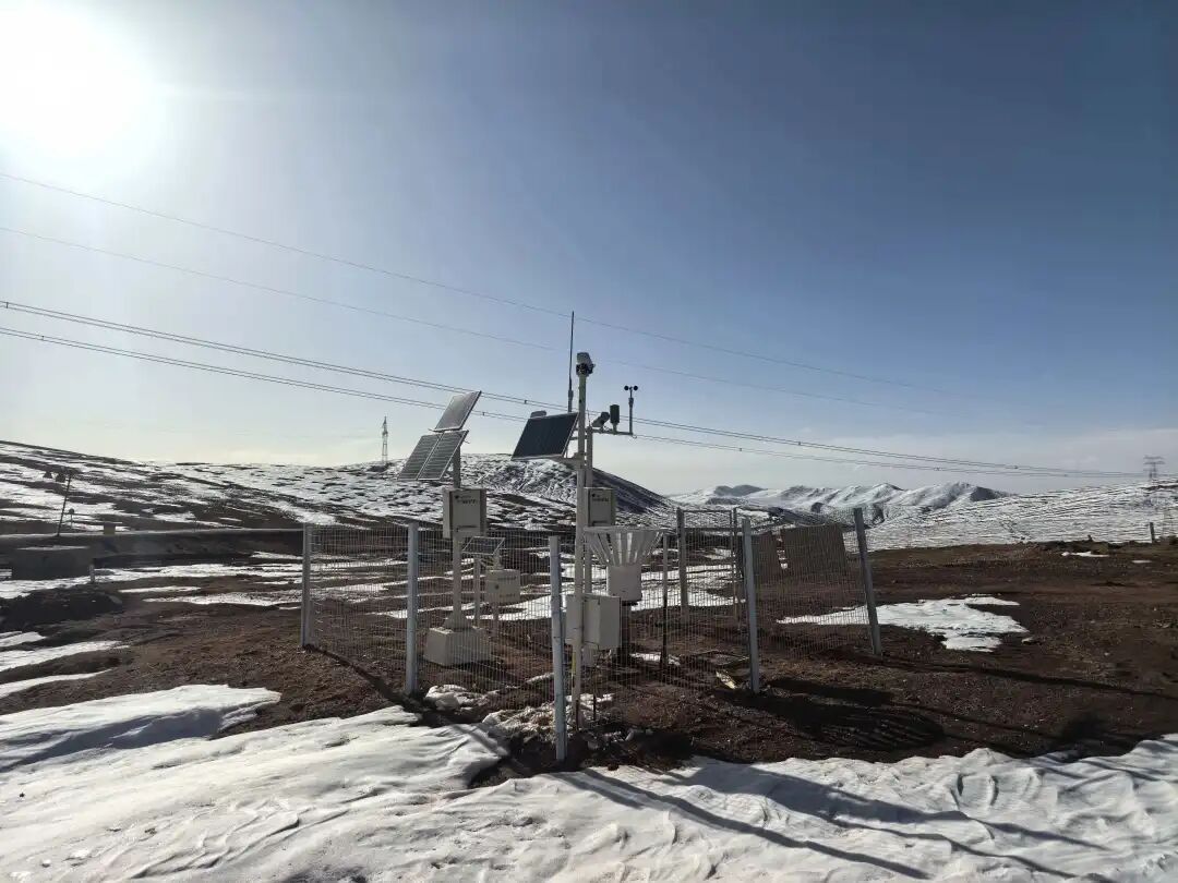 看完《生命树》才懂:可可西里的“残酷”天气,从不是演的 看完《生命树》才懂:可可西里的“残酷”天气,从不是演的