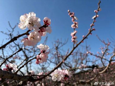 官宣！北京3月22日正式入春