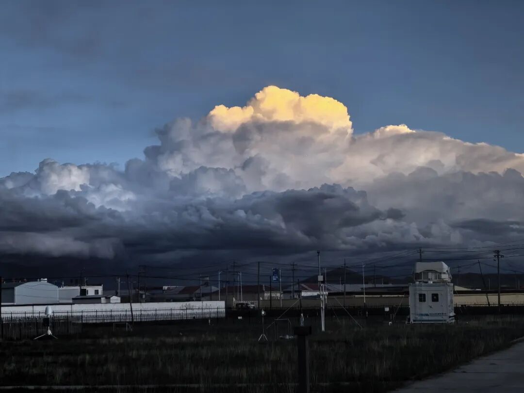 看完《生命树》才懂:可可西里的“残酷”天气,从不是演的 看完《生命树》才懂:可可西里的“残酷”天气,从不是演的