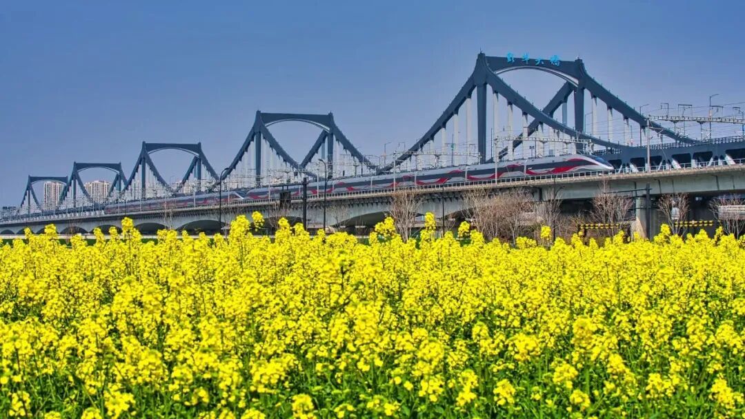 预计单日客发创新高！长三角铁路2026年春假清明运输方案出台