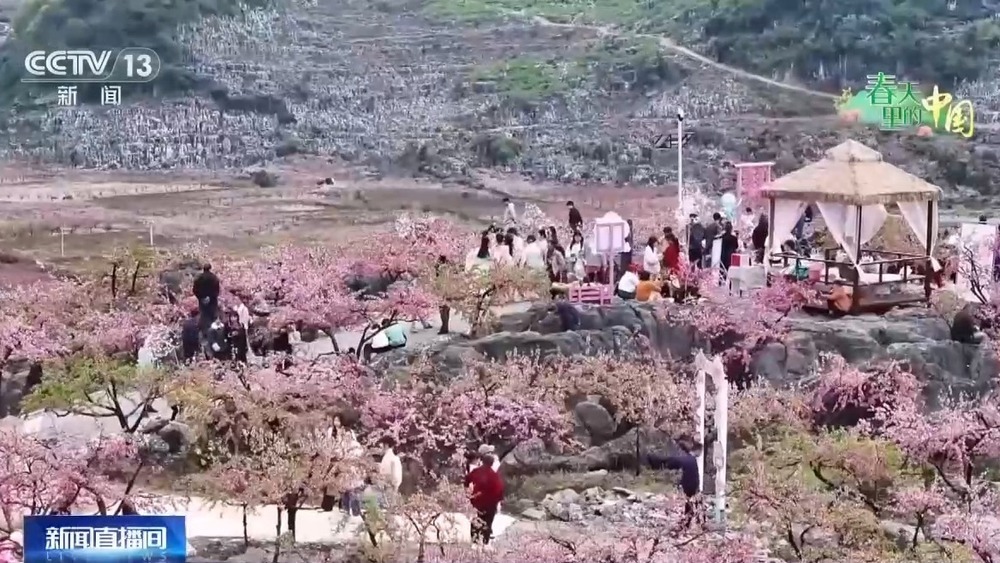 梯田美景、农家民宿……各地花海美景激活春日经济