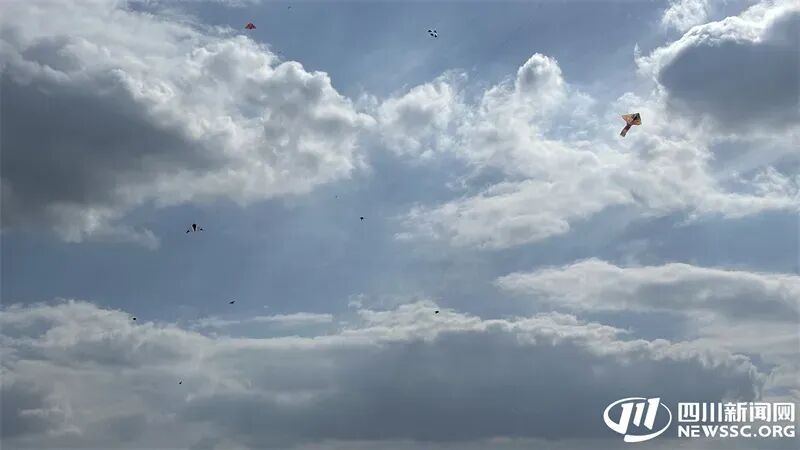 风筝线变“利刃”,谁来为这场意外“买单”?律师详解赔偿与维权方法 风筝线变“利刃”,谁来为这场意外“买单”?律师详解赔偿与维权方法