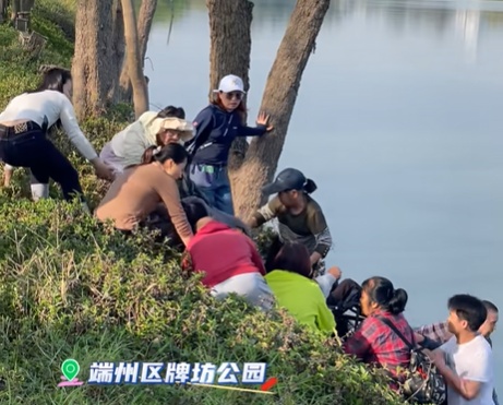 肇庆一老人坐轮椅落水，一群人出手了…