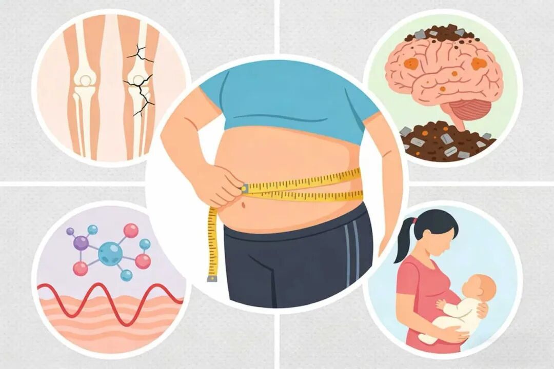 为什么你总发胖还记忆力不好？原来是缺了这种维生素！