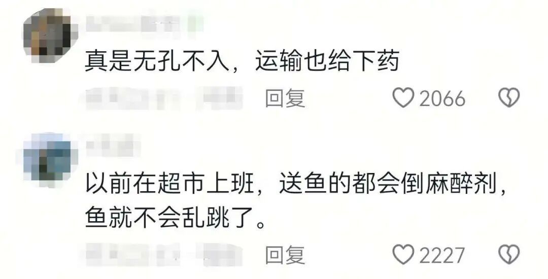给鱼麻醉?你吃的鲜鱼可能“喝”过工业酒精!律师解读→ 给鱼麻醉?你吃的鲜鱼可能“喝”过工业酒精!律师解读→