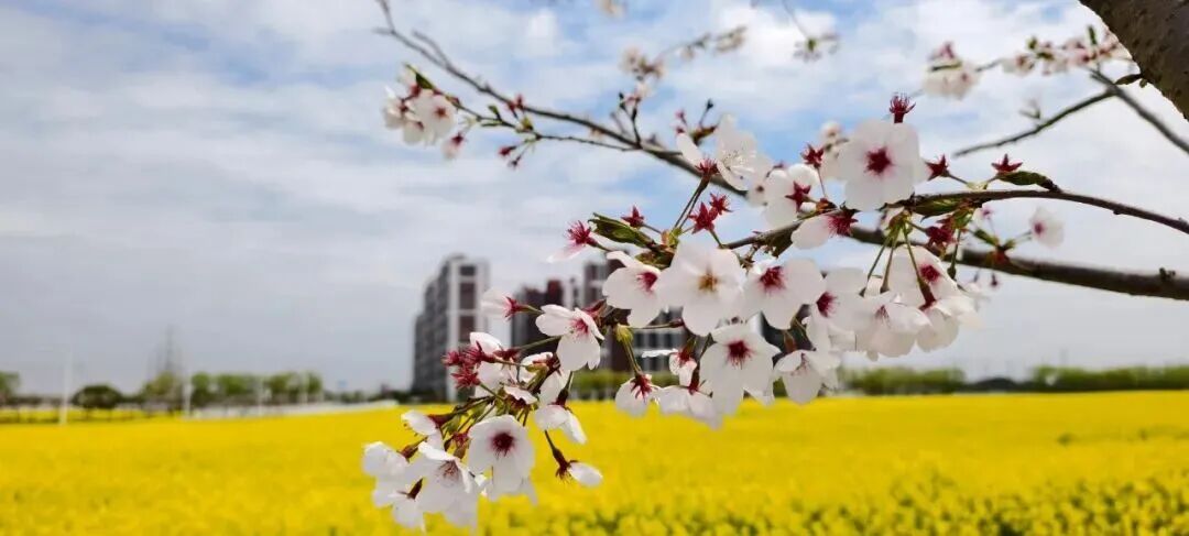 暴雨、大暴雨，要来了！上海人注意：双休日气温拉升，大反转就在这天→