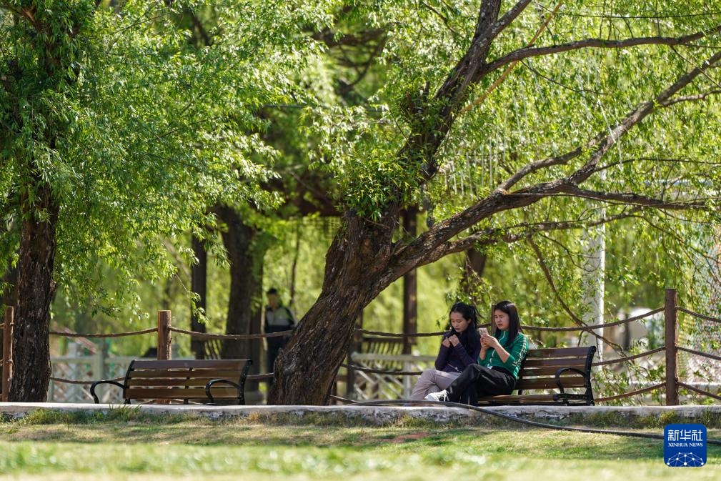 云南嵩明东村:巧做“闲置文章” 发展旅居新业态 云南嵩明东村:巧做“闲置文章” 发展旅居新业态