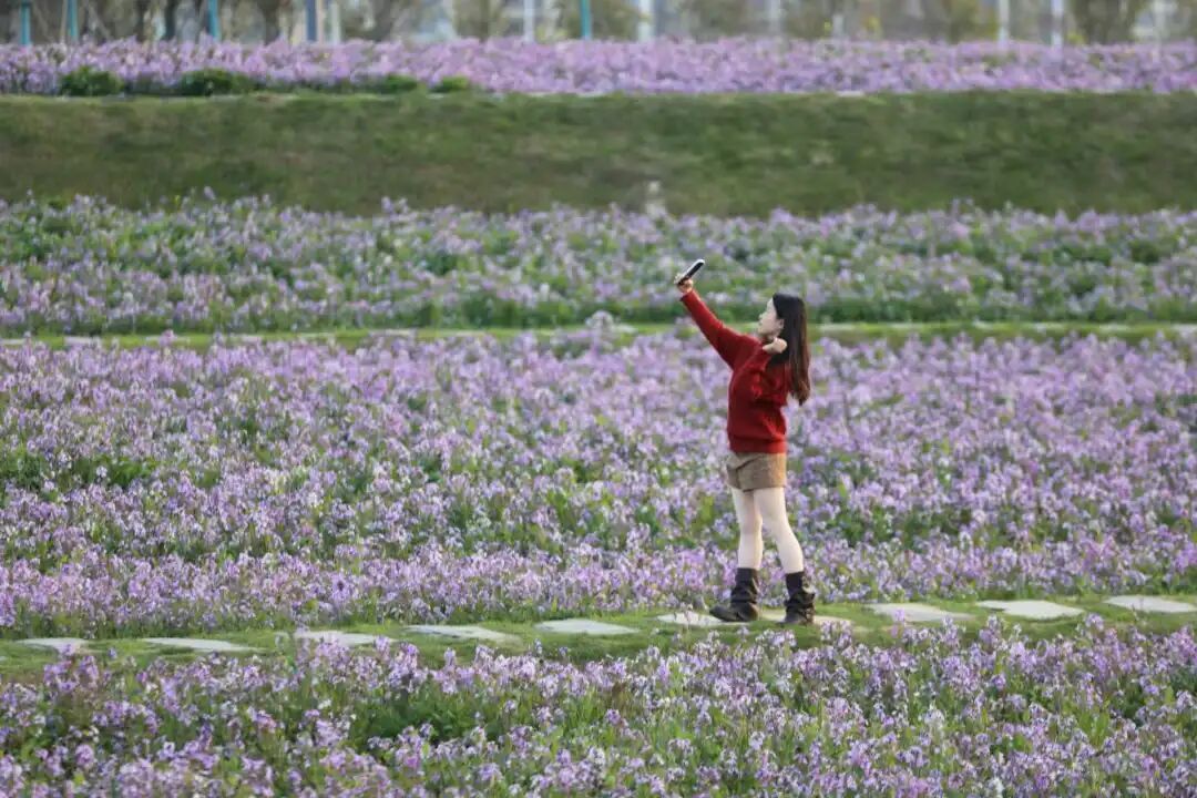 紧急提醒!进入高发期!阜阳人注意!戴口罩! 紧急提醒!进入高发期!阜阳人注意!戴口罩!