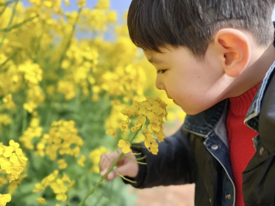 紧急提醒!进入高发期!阜阳人注意!戴口罩! 紧急提醒!进入高发期!阜阳人注意!戴口罩!