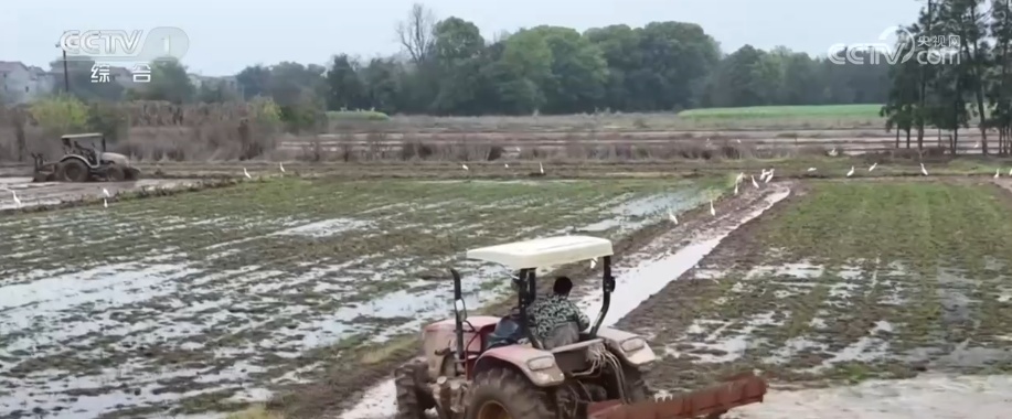 万物萌动乐享春光 勾勒人与自然和谐共生动人图景添彩春天里的中国