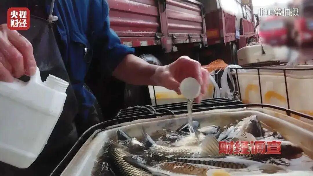 给鱼麻醉?你吃的鲜鱼可能“喝”过工业酒精!律师解读→ 给鱼麻醉?你吃的鲜鱼可能“喝”过工业酒精!律师解读→