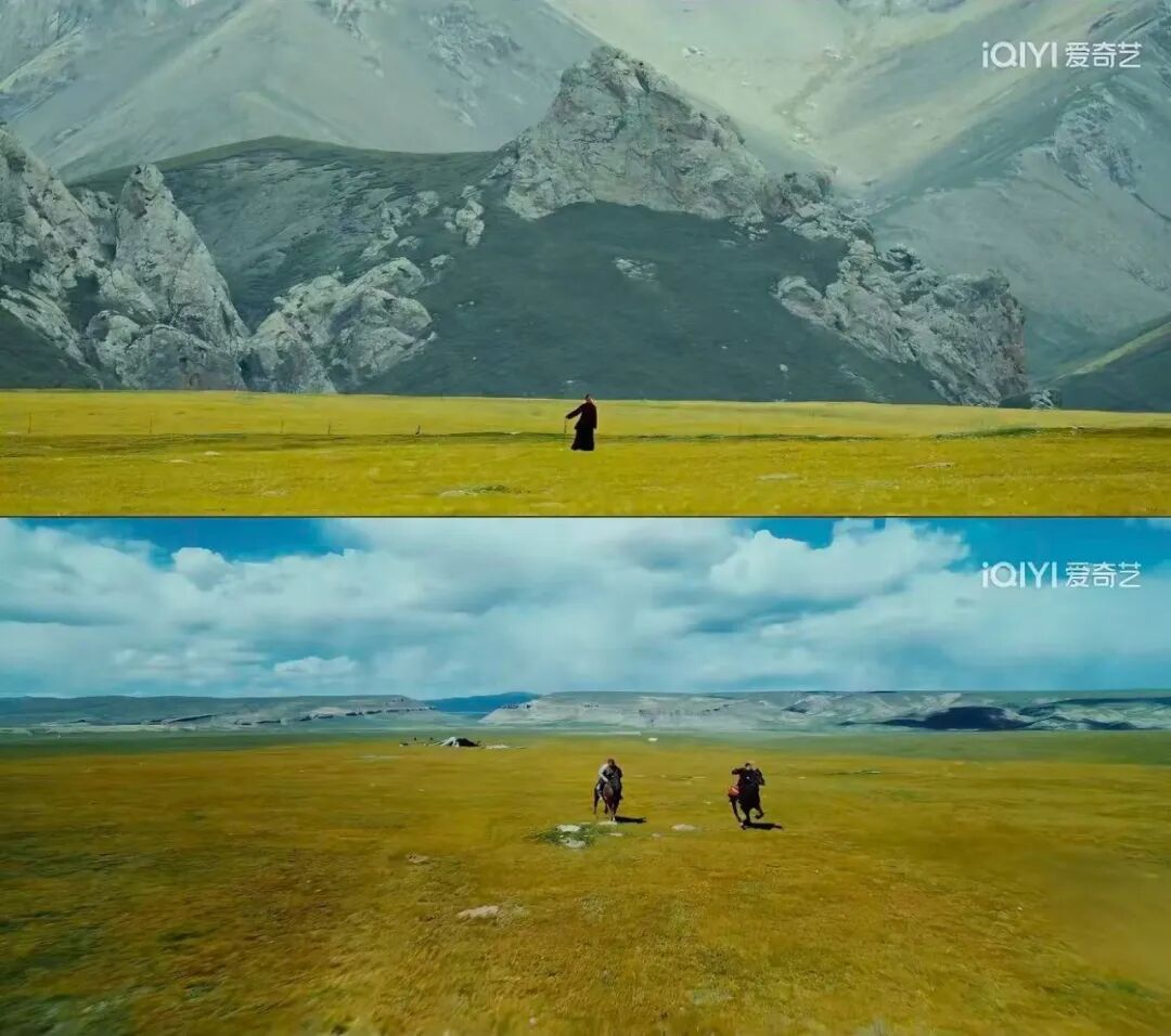 看完《生命树》才懂:可可西里的“残酷”天气,从不是演的 看完《生命树》才懂:可可西里的“残酷”天气,从不是演的