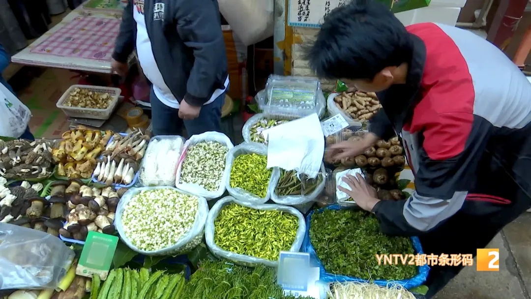 “春天就要吃云南的花”! 每天几十单,云南“春日限定”走向全国…… “春天就要吃云南的花”! 每天几十单,云南“春日限定”走向全国……