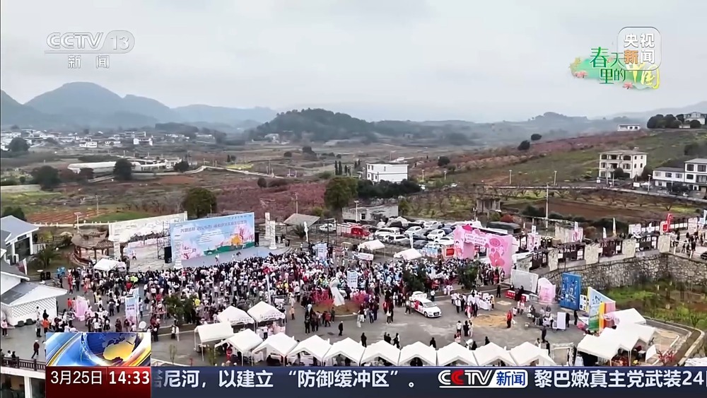 赏花正当时 多地花海“上新”春日经济