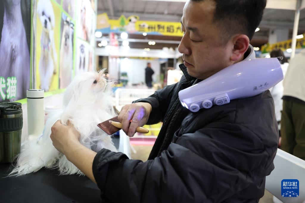 宠物经济撬动情感消费新场景 宠物经济撬动情感消费新场景