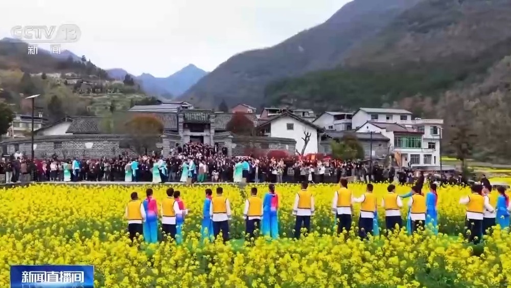 梯田美景、农家民宿……各地花海美景激活春日经济