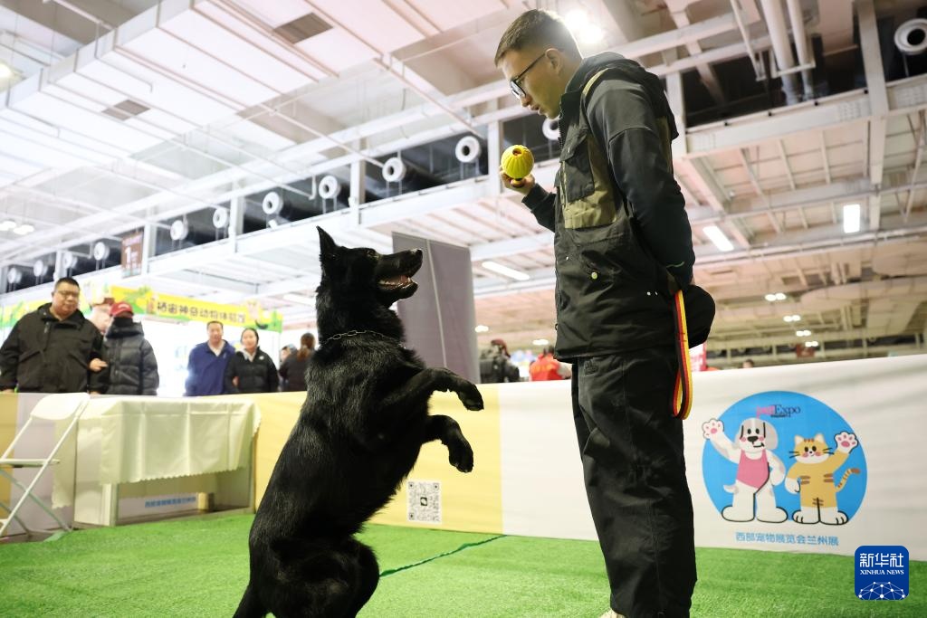 宠物经济撬动情感消费新场景 宠物经济撬动情感消费新场景
