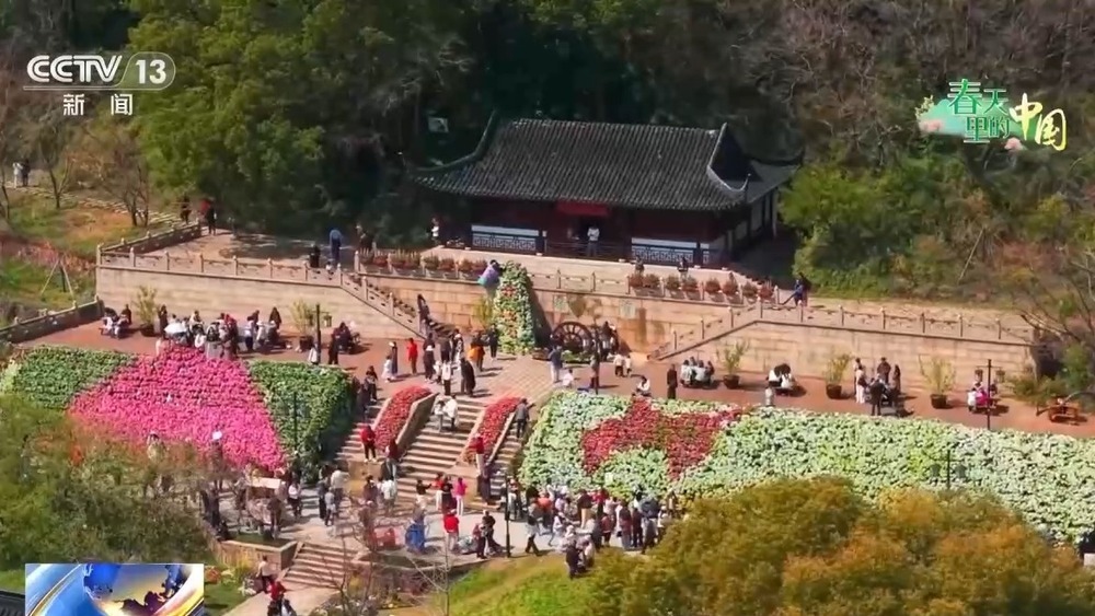 梯田美景、农家民宿……各地花海美景激活春日经济