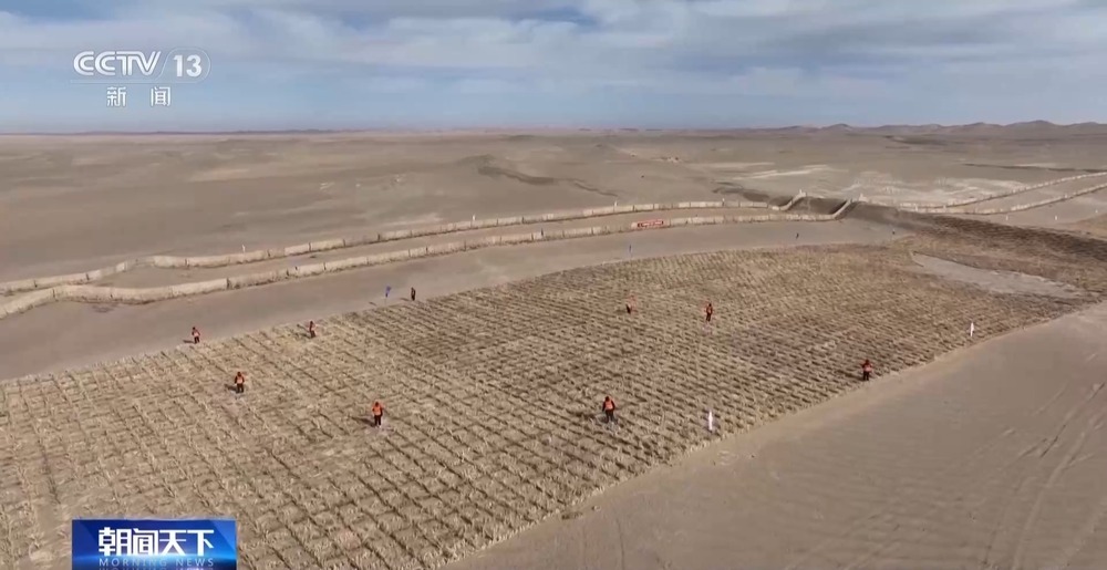 塔克拉玛干沙漠锁边扩绿工程启动 织密绿色防护网
