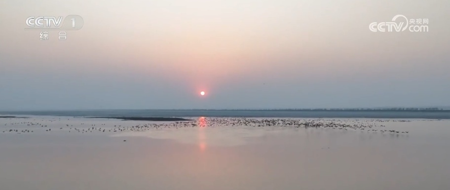 万物萌动乐享春光 勾勒人与自然和谐共生动人图景添彩春天里的中国