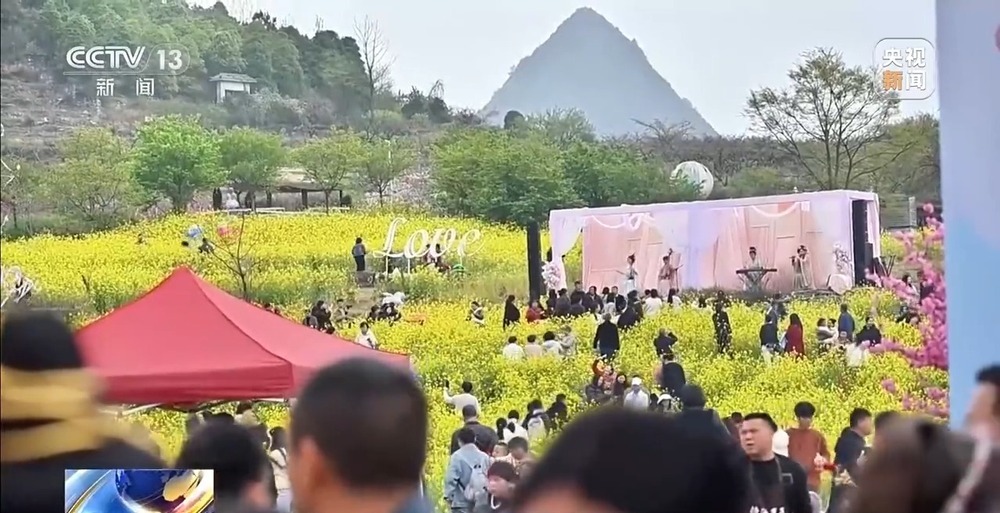 赏花正当时 多地花海“上新”春日经济