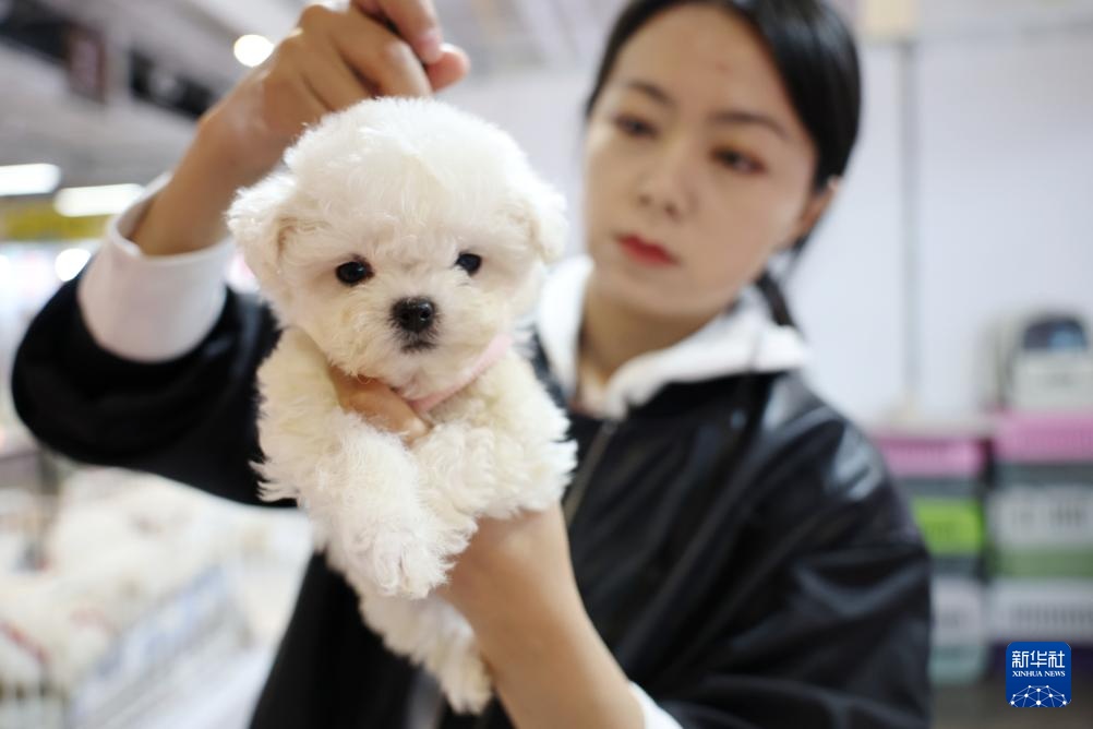 宠物经济撬动情感消费新场景 宠物经济撬动情感消费新场景