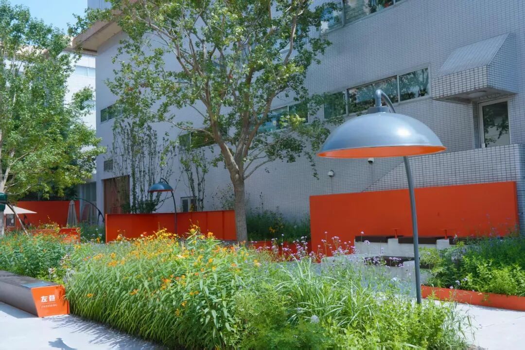 北京胡同里,悄悄多了些“新东西”?电箱穿新衣、路灯有“翅膀”…… 北京胡同里,悄悄多了些“新东西”?电箱穿新衣、路灯有“翅膀”……