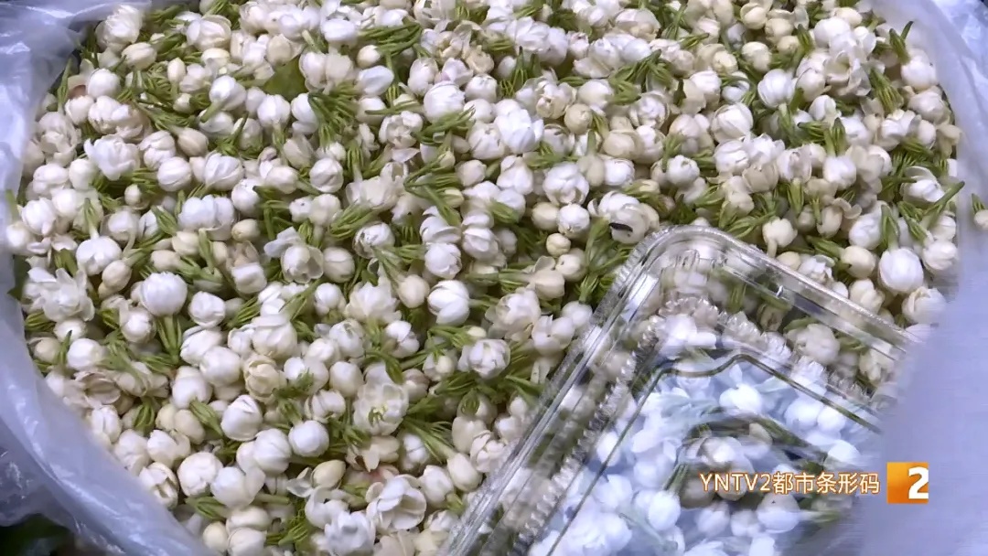 “春天就要吃云南的花”! 每天几十单,云南“春日限定”走向全国…… “春天就要吃云南的花”! 每天几十单,云南“春日限定”走向全国……