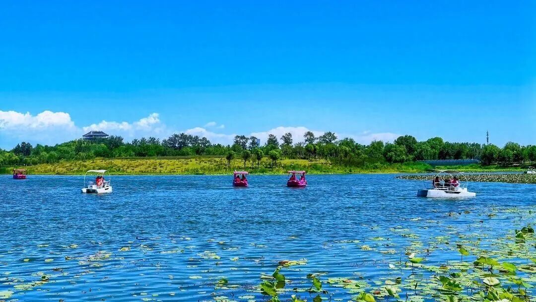 和义公园二期开工建设 南中轴将再添近千亩绿色空间