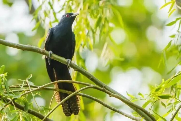 有学生被“噪音”吵到，学校的做法亮了！