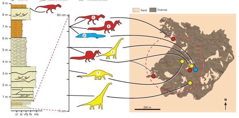 蝌学最前沿丨棘龙家族上新！新种头顶自带 “弯刀” 角冠