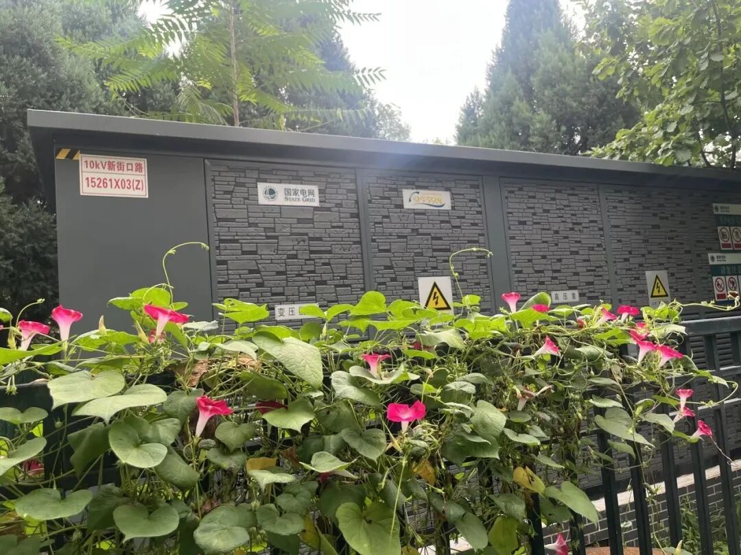 北京胡同里,悄悄多了些“新东西”?电箱穿新衣、路灯有“翅膀”…… 北京胡同里,悄悄多了些“新东西”?电箱穿新衣、路灯有“翅膀”……