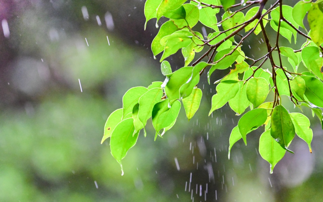 大雨暴雨冰雹！今天起，广东开始下雨