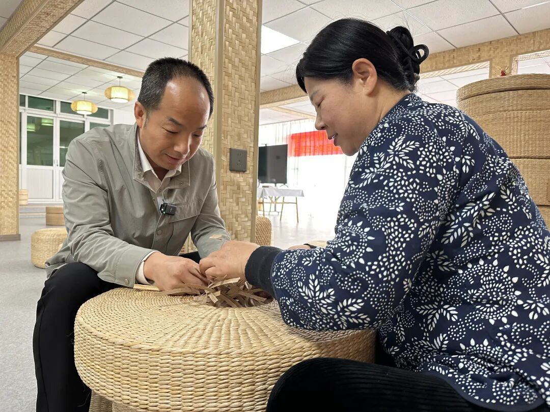 白洋淀的这种植物，如何为当地村民生金？