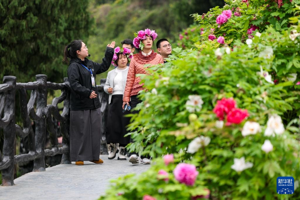 重庆垫江：牡丹花开春意浓 &nbsp;农旅融合促振兴