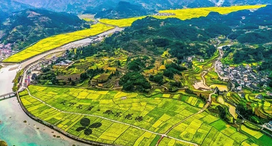 沿着高铁去看花｜一条线路看遍贵州最顶级的春日色彩