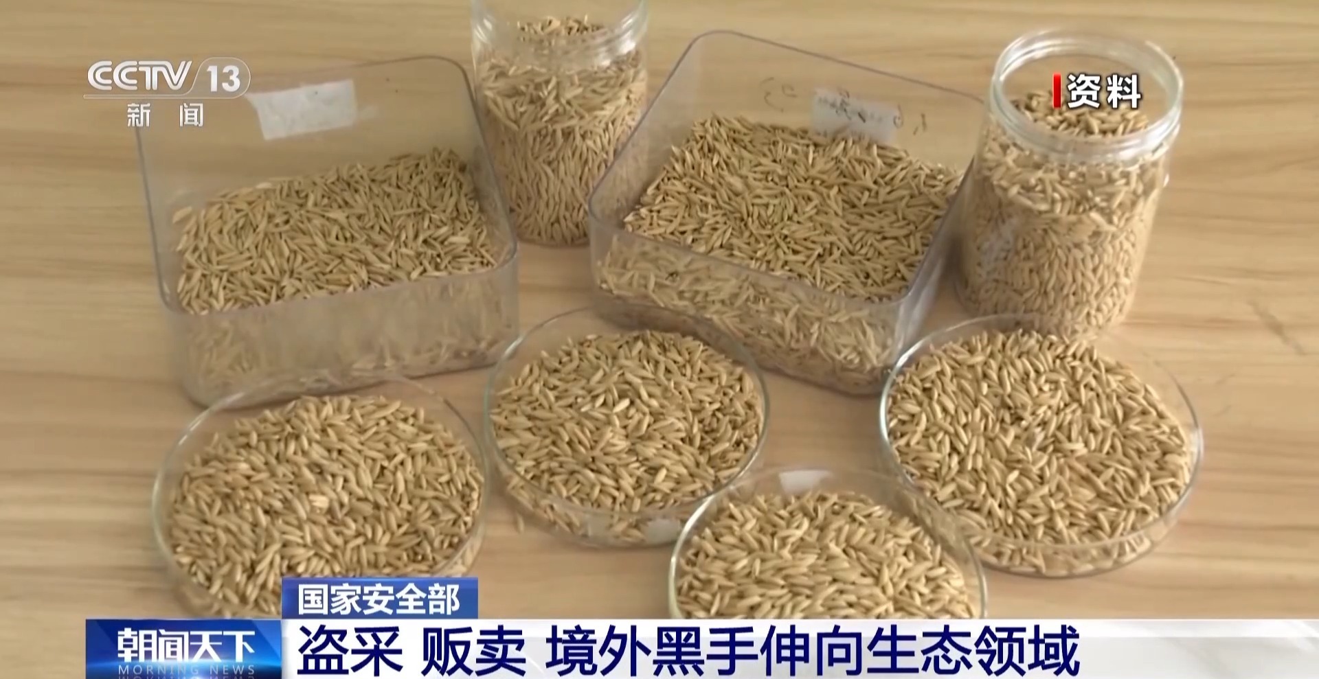 盗采、贩卖！境外黑手伸向生态领域 国家安全机关通报