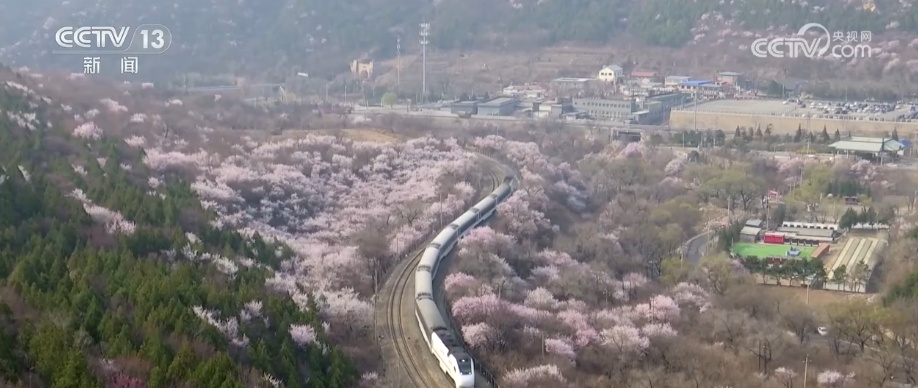 春景如画引客来 “开往春天的列车”一路繁花一路景 春景如画引客来 “开往春天的列车”一路繁花一路景