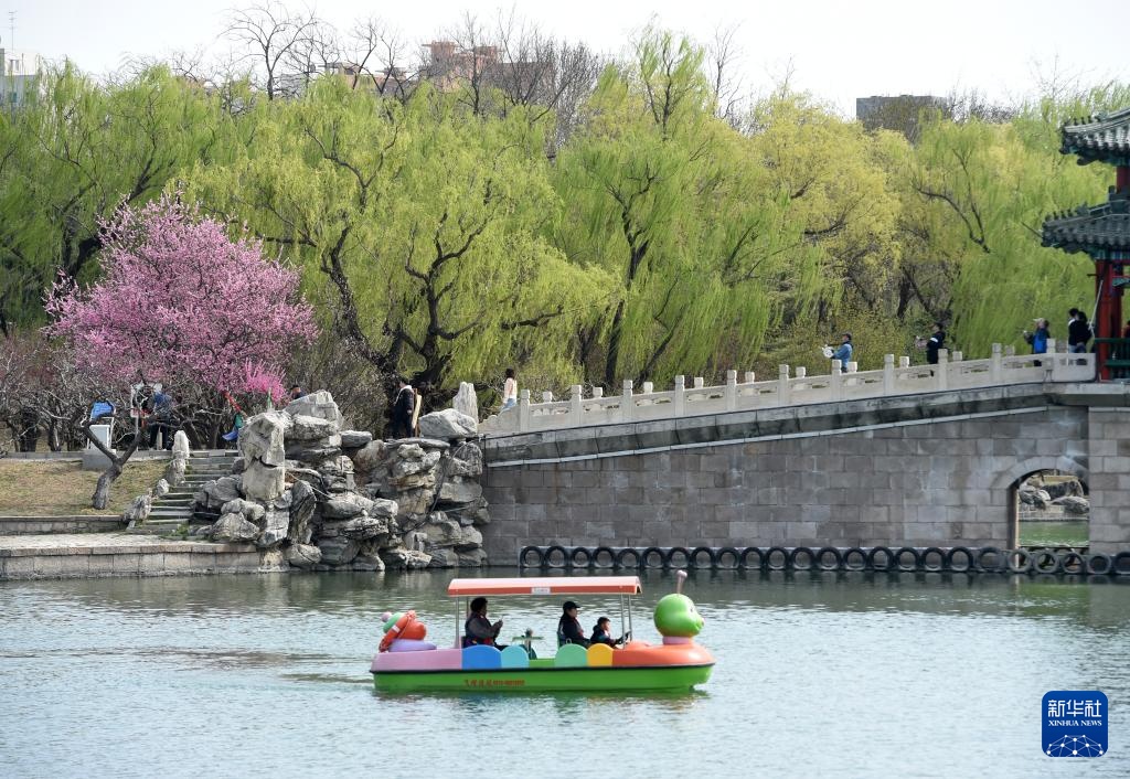 春染京城花枝俏